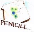 пеницилл группа 